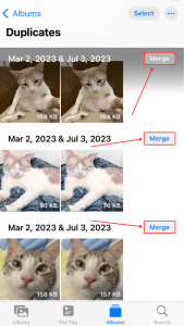 Merge button in Duplicates Photos