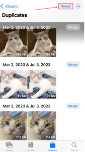 Select Button in Photos Duplicates 