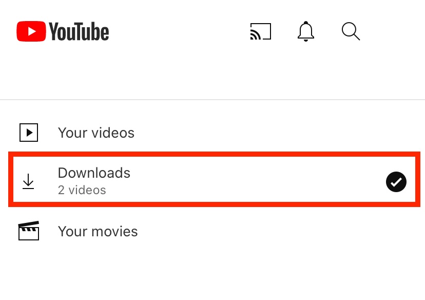 youtube library downloads