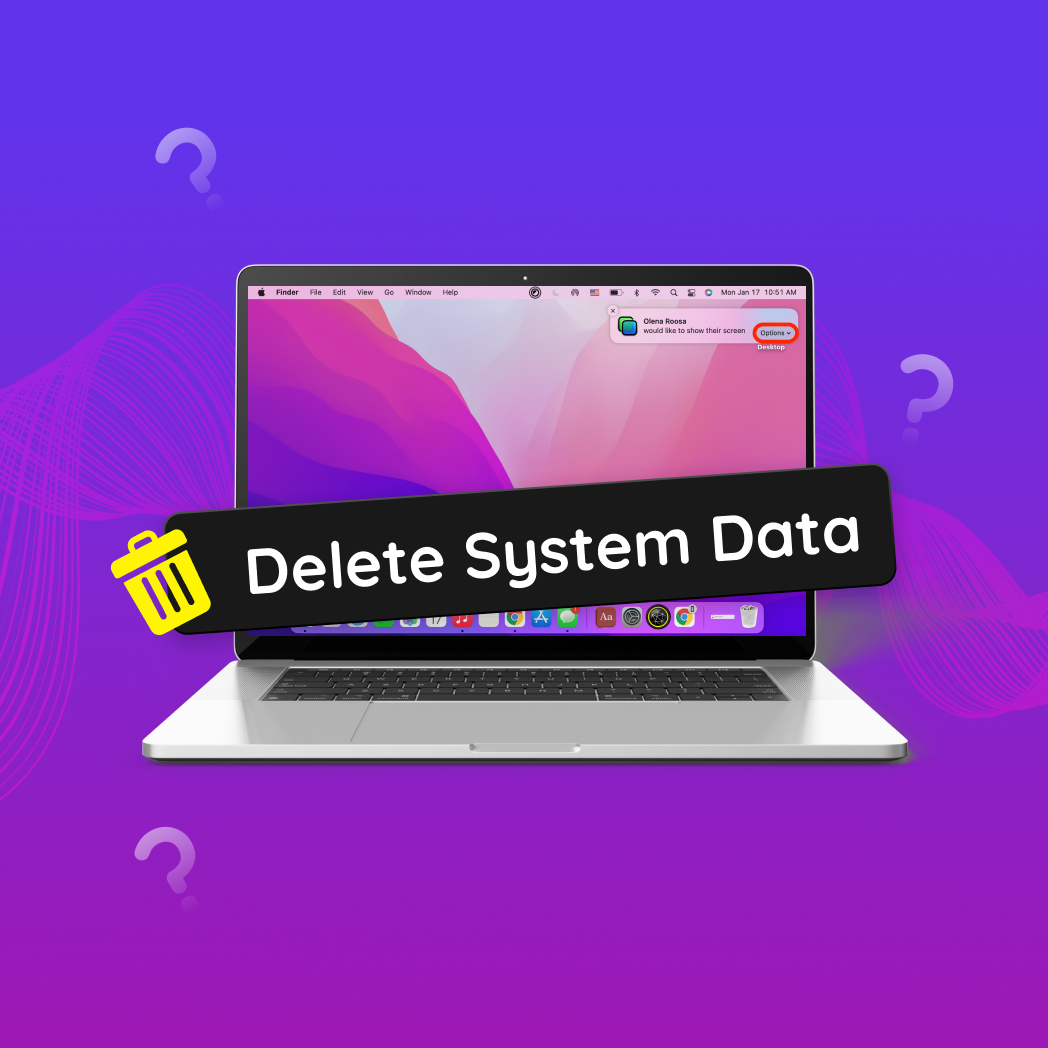 Clean Mac System Data